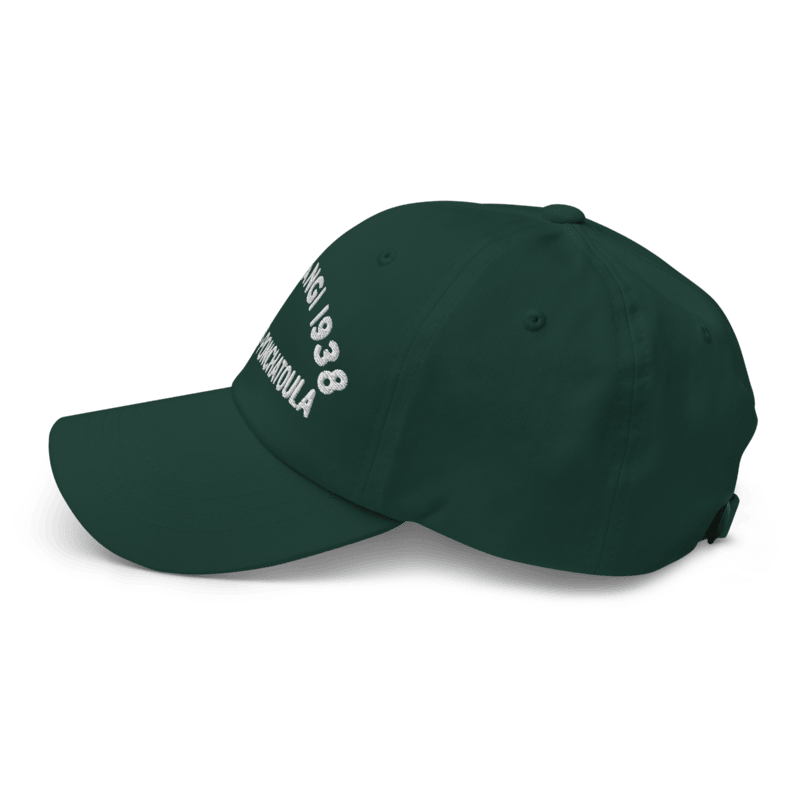 Cave Tangi Dad Hat Forest - Back