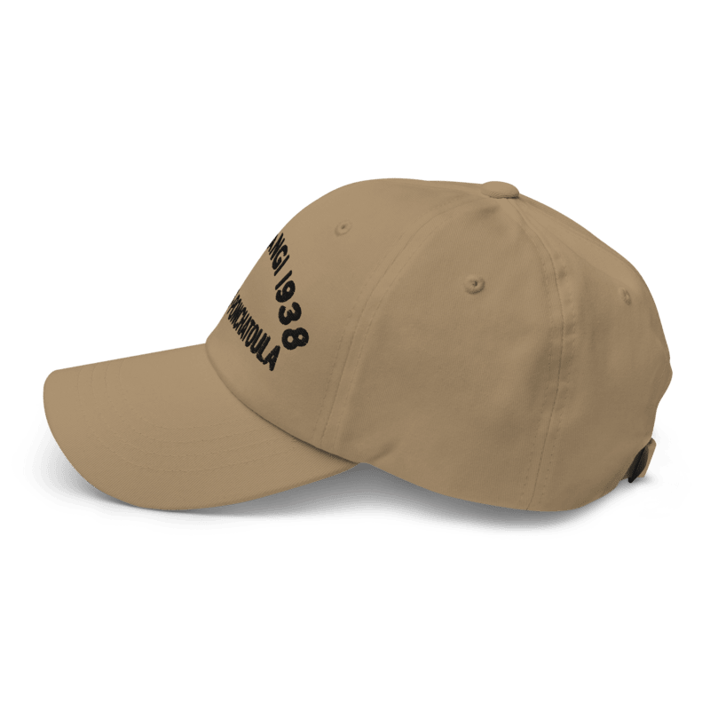 Cave Tangi Dad Hat Khaki - Back