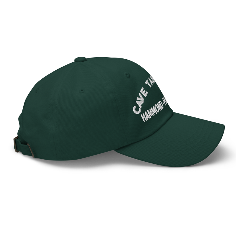 Cave Tangi Dad Hat — Forest - View 3