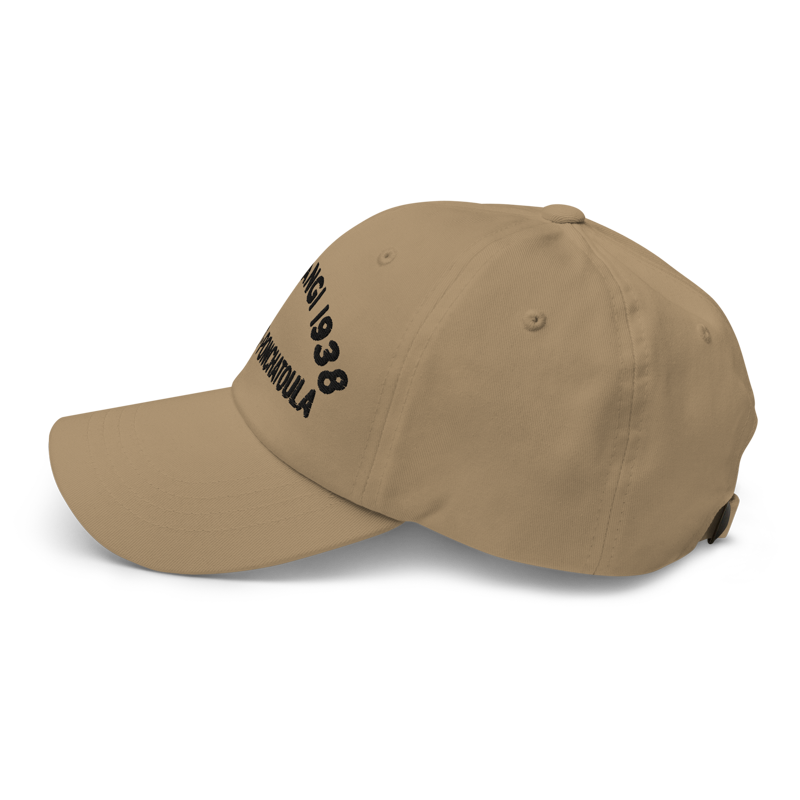 Cave Tangi Dad Hat — Khaki - View 2