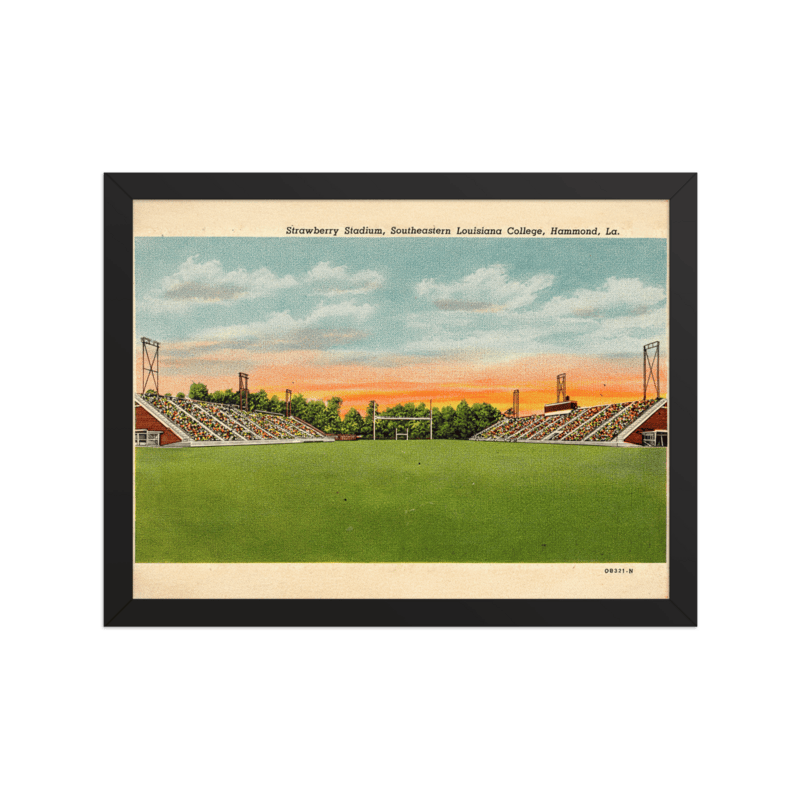 Strawberry Stadium Framed Poster