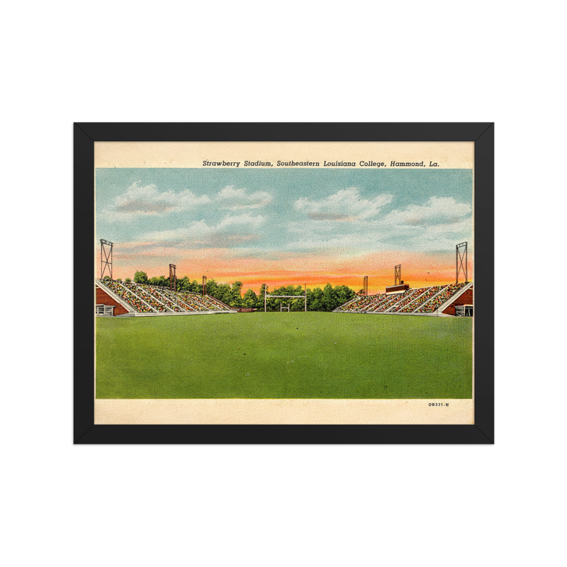 strawberry-stadium-framed-poster-12-16 product image