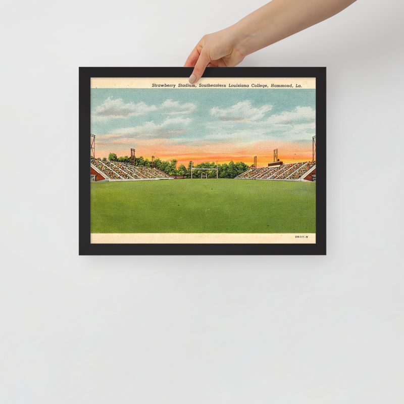Strawberry Stadium — Framed Poster 12×16 - View 1
