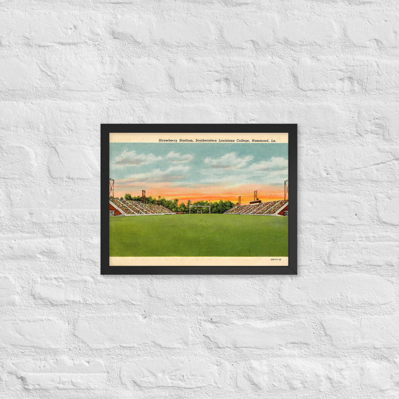 Strawberry Stadium — Framed Poster 12×16 - View 2